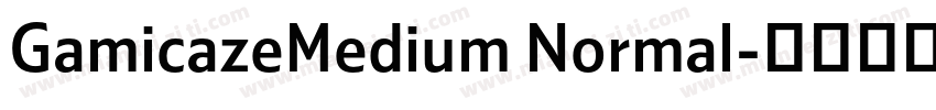 GamicazeMedium Normal字体转换